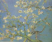 Blossoming Almond Tree (nn04), Vincent Van Gogh